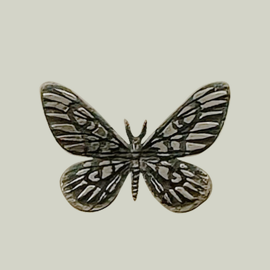 GRIFFENVEIL. Hemileuca Griffini Earring - Silver